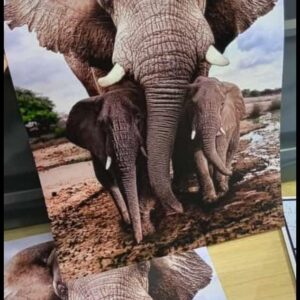 A1 personalised Canvas print in Nairobi
